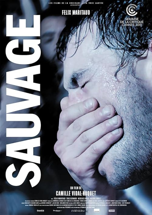 Sauvage / Wild movie poster