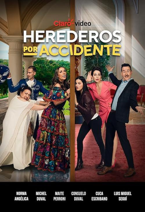 Herederos por accidente movie poster