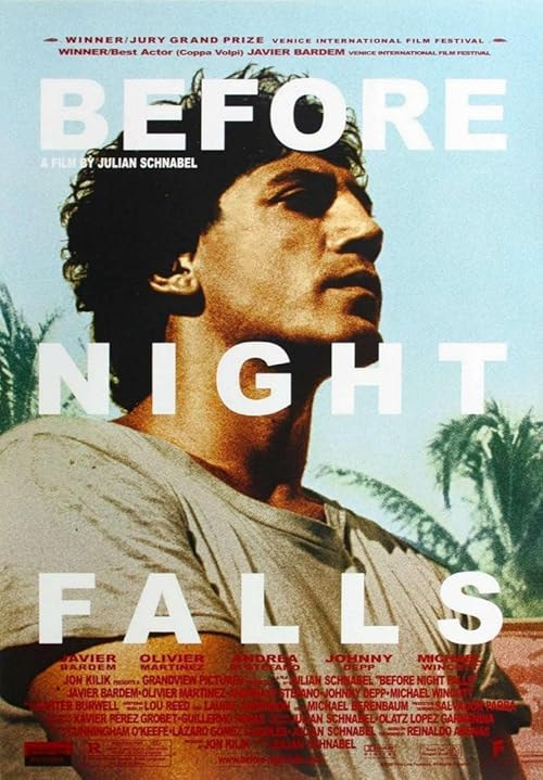Before Night Falls movie poster