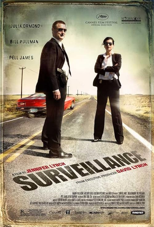 Surveillance movie poster
