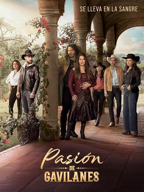 Pasión de gavilanes movie poster