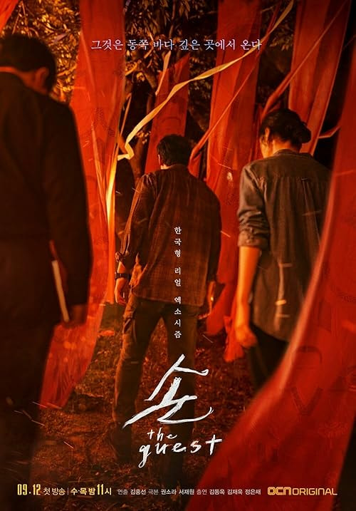 Son: The Guest movie poster