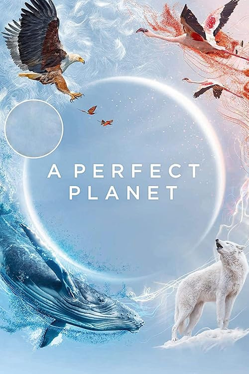 A Perfect Planet movie poster