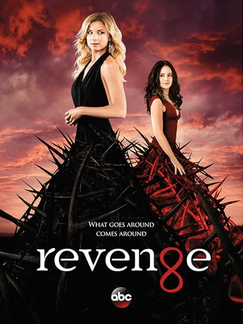 Revenge movie poster