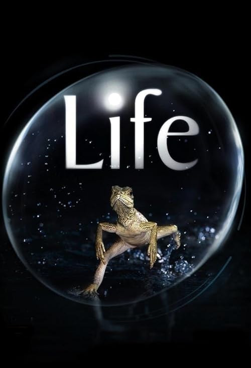 Life movie poster