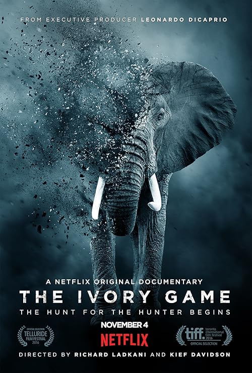 The Ivory Game movie poster