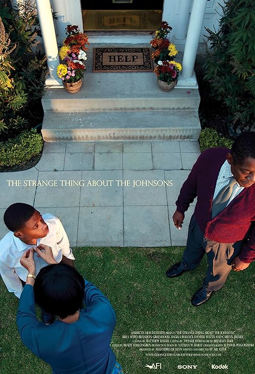 The Strange Thing About the Johnsons movie poster