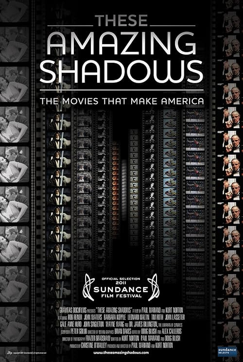 These Amazing Shadows movie poster