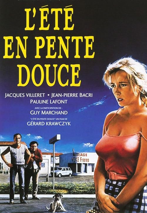 L'été en pente douce movie poster