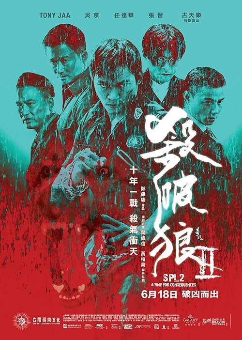 Kill Zone 2 movie poster