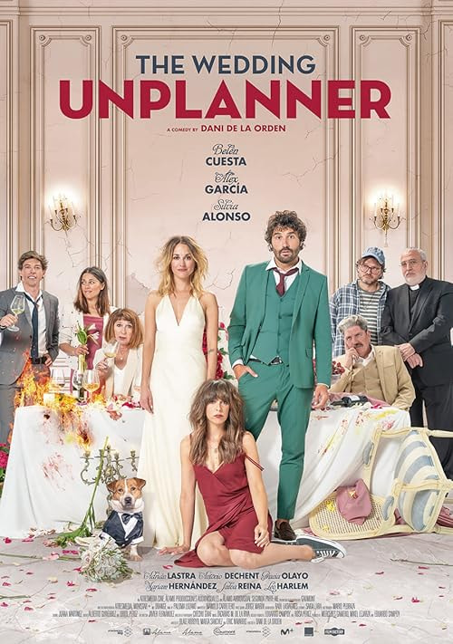 The Wedding Unplanner movie poster