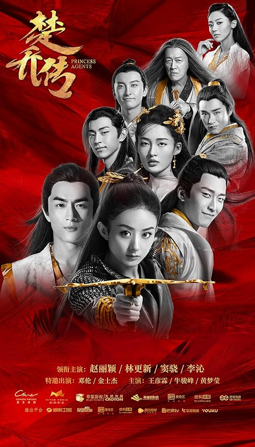 Princess Agents movie poster