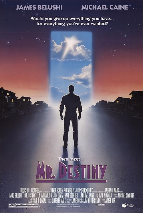 Mr. Destiny movie poster