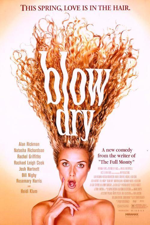 Blow Dry movie poster