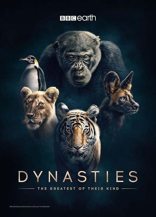 Dynasties movie poster