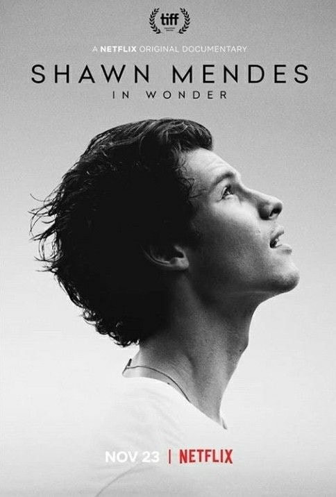 Shawn Mendes: In Wonder movie poster