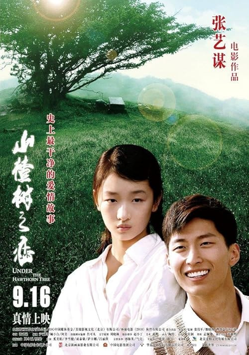 Under the Hawthorn Tree movie poster