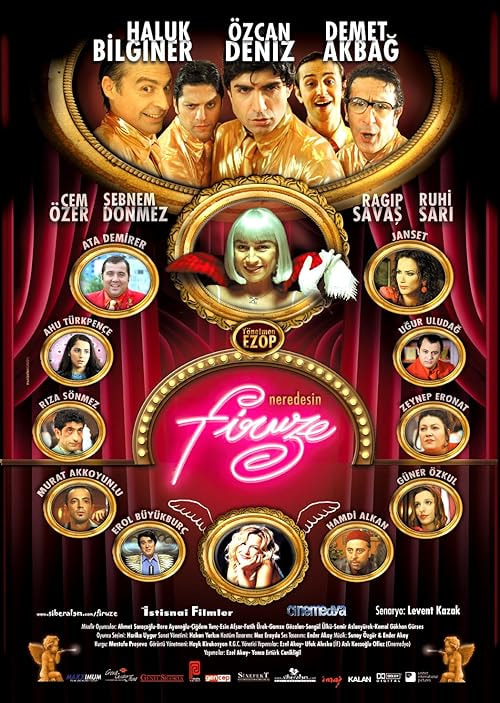 Where's Firuze? movie poster