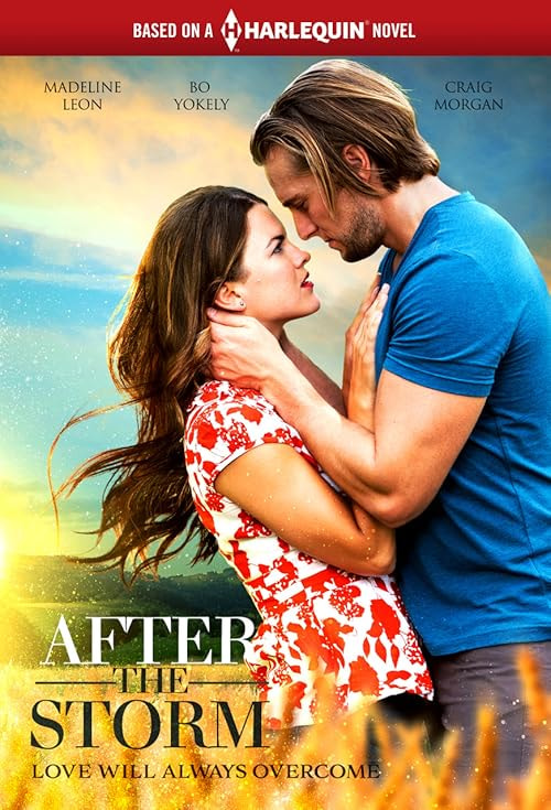 After the Storm movie poster