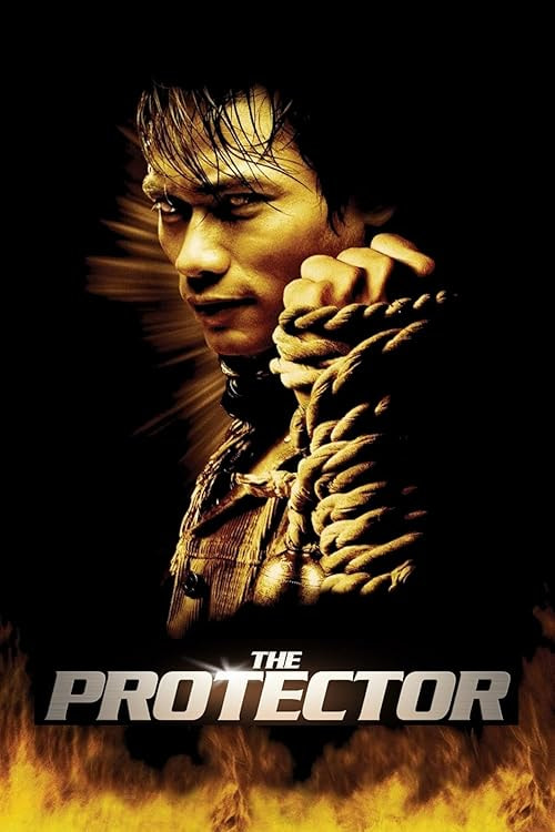 The Protector movie poster