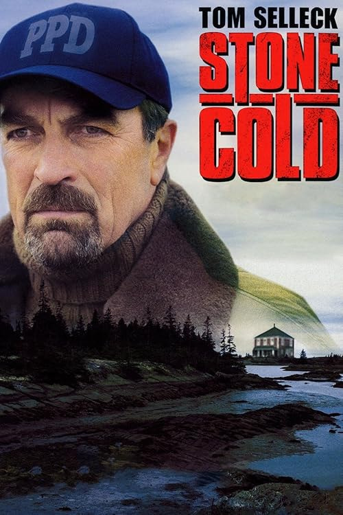 Jesse Stone: Stone Cold movie poster