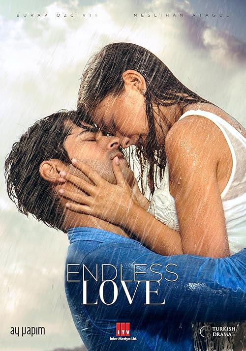 Endless Love movie poster