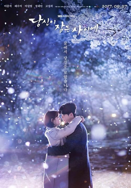 While You Were Sleeping movie poster