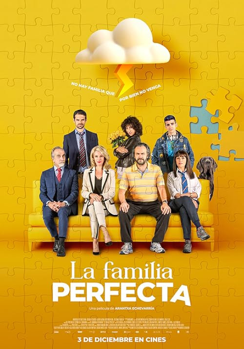 The Perfect Family movie poster