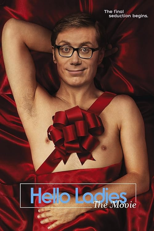 Hello Ladies: The Movie movie poster