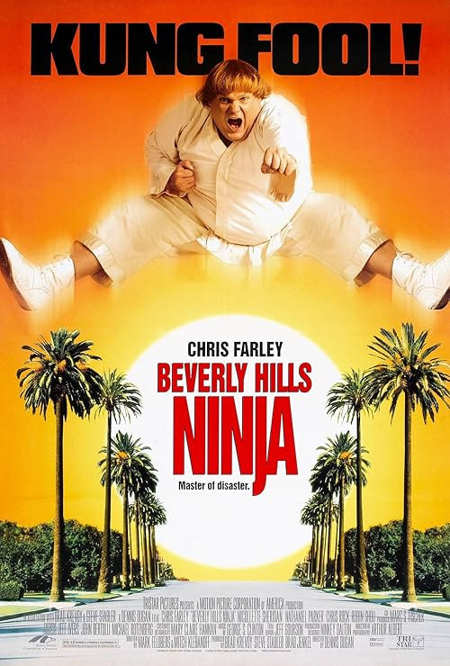 Beverly Hills Ninja movie poster