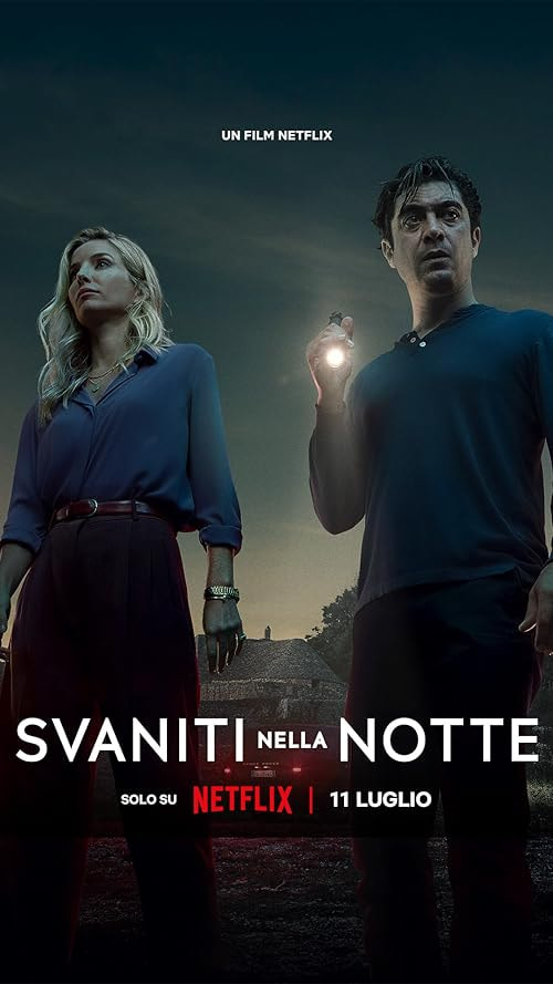 Vanished Into the Night movie poster