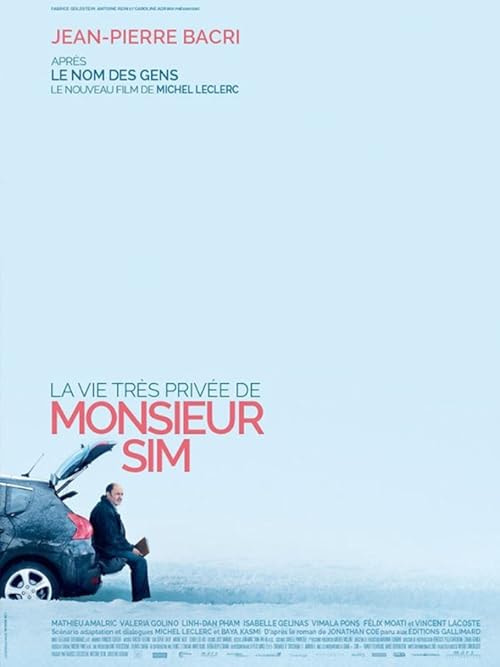 The Very Private Life of Mister Sim movie poster