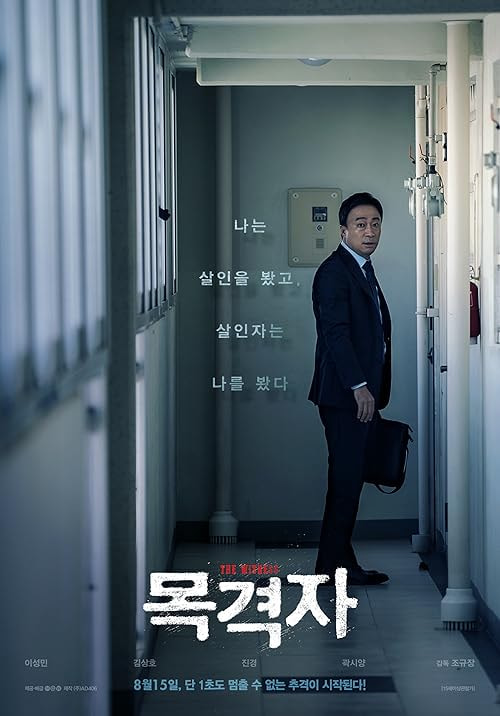 The Witness movie poster