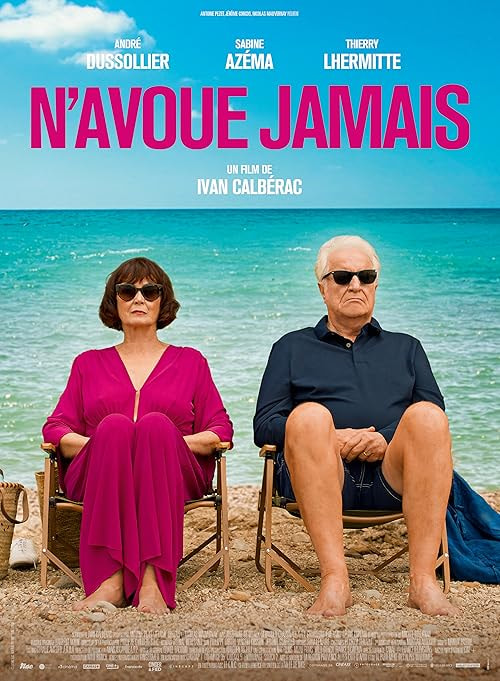 N'avoue jamais movie poster