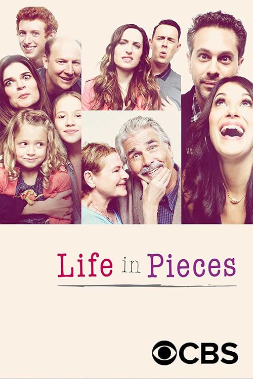 Life in Pieces movie poster