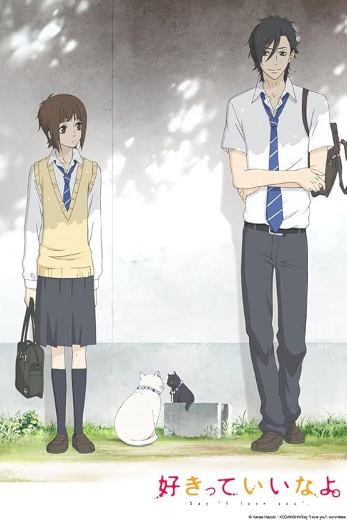 Say &quot;I love you&quot; movie poster