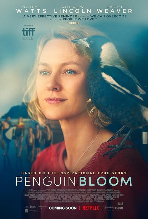 Penguin Bloom movie poster