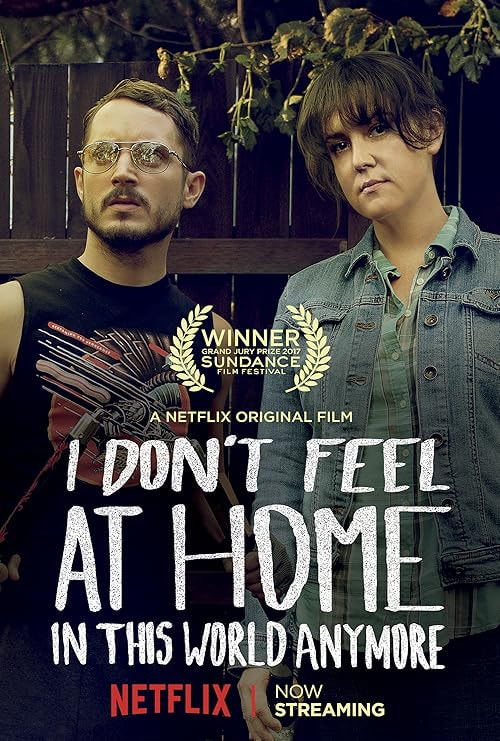 I Don't Feel at Home in This World Anymore movie poster