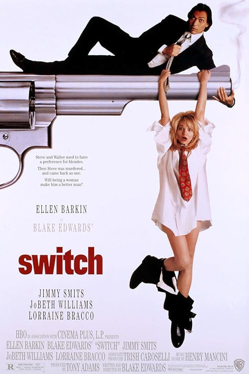 Switch movie poster