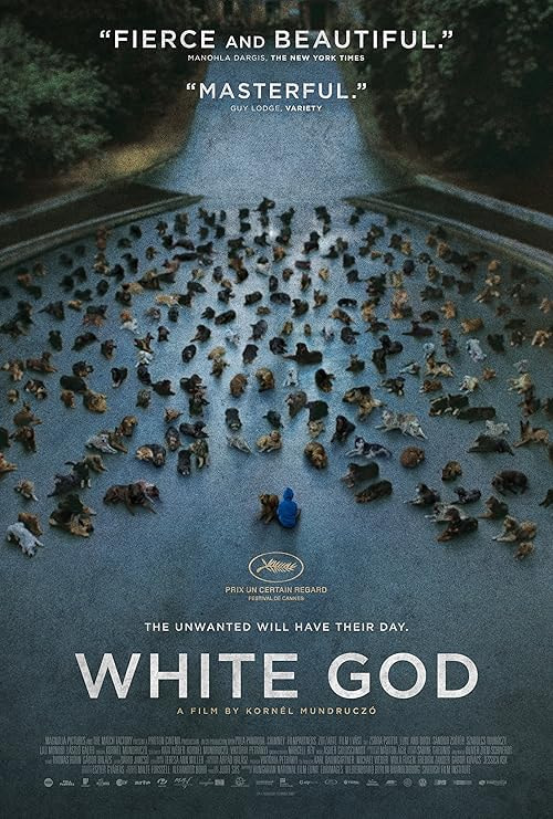 White God movie poster