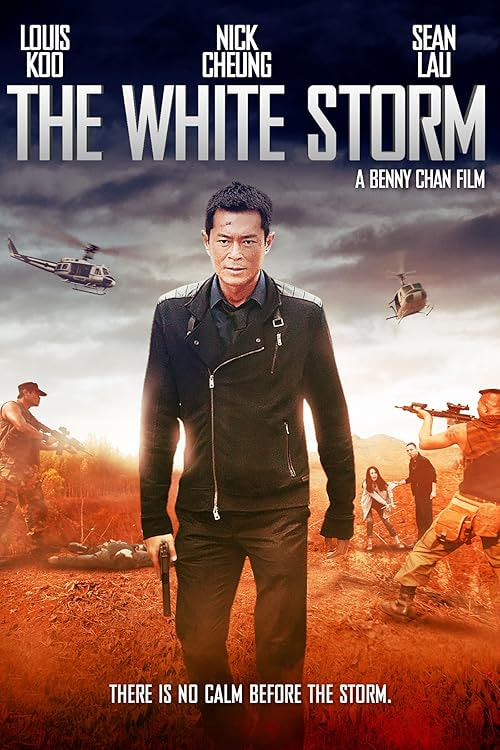The White Storm movie poster