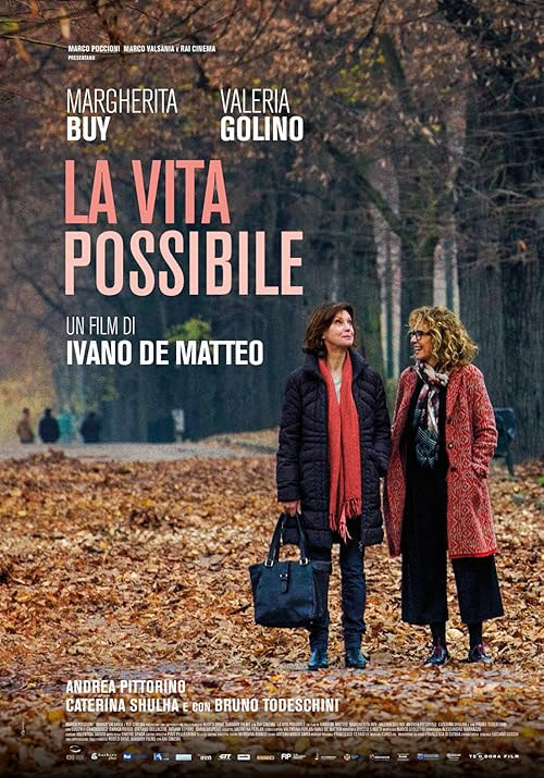La vita possibile movie poster