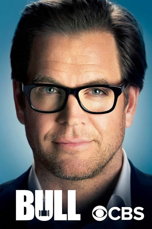 Bull movie poster