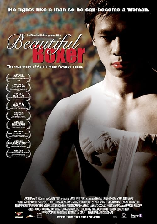 Beautiful Boxer movie poster