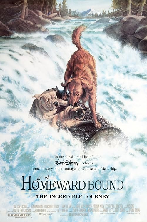 Homeward Bound: The Incredible Journey movie poster