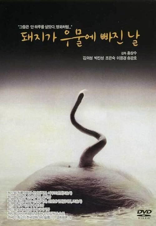 The Day a Pig Fell Into the Well movie poster