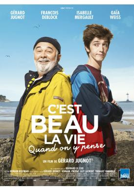 Accidental Family movie poster