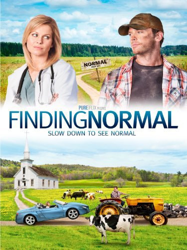 Finding Normal movie poster