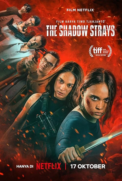 The Shadow Strays movie poster