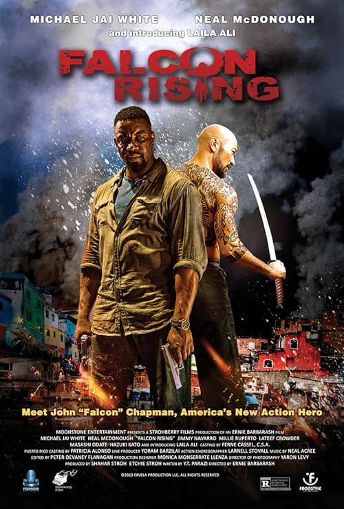 Falcon Rising movie poster